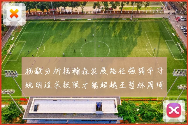 杨毅分析杨瀚森发展路径强调学习姚明追求极限才能超越王哲林周琦状态